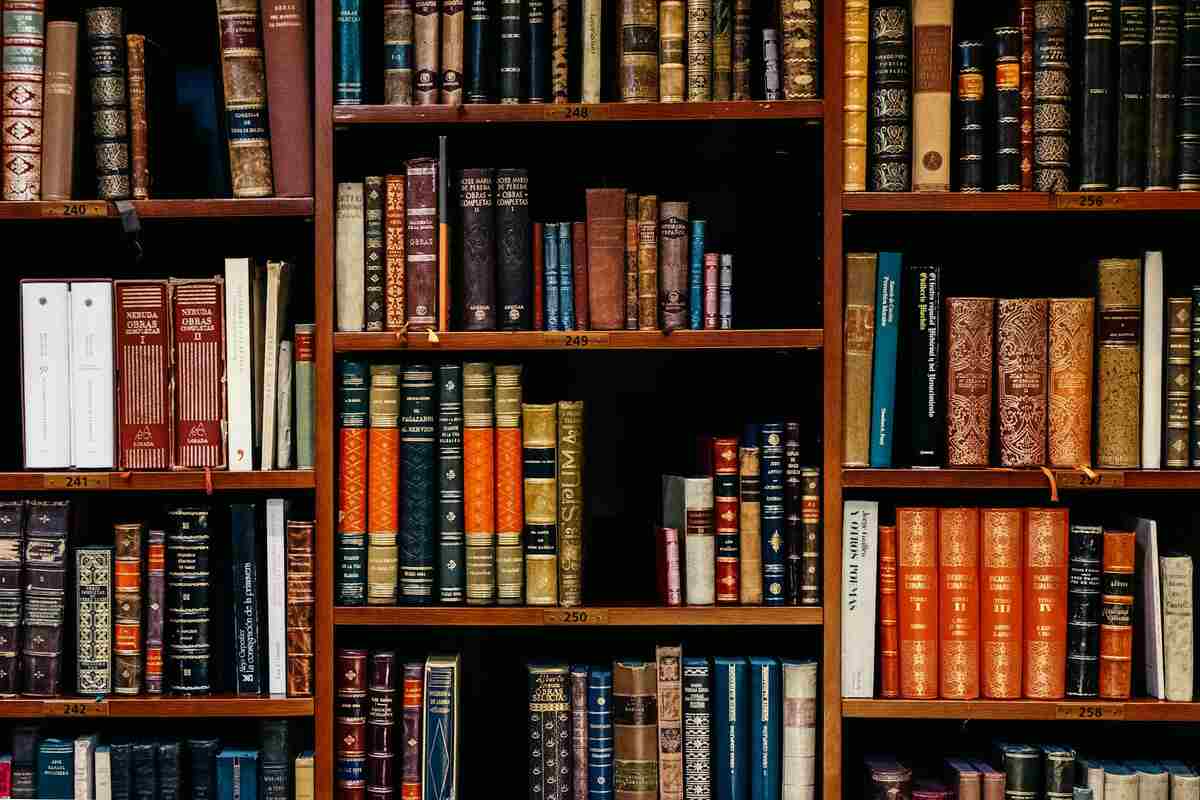 Bookshelves full of colourful and dense text books
