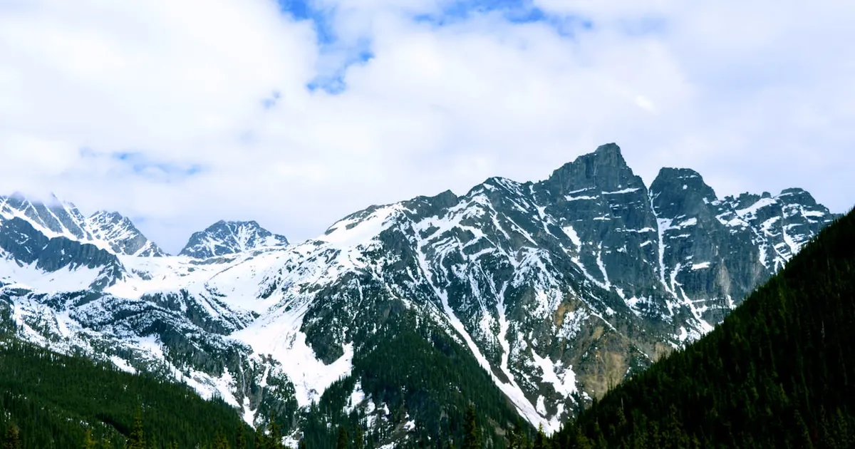 Snowy mountain peaks above a dense green forest near Golden, British Columbia