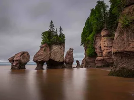 The Hopewell Rocks in New Brunswick, Canada.  Beautiful flowerpot rocks showcasing the power of the Bay of Fundy's natural tides.