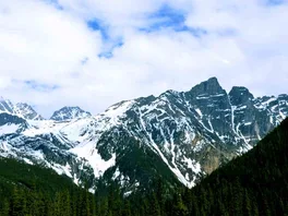 Snowy mountain peaks and dense green forest near Golden, British Columbia